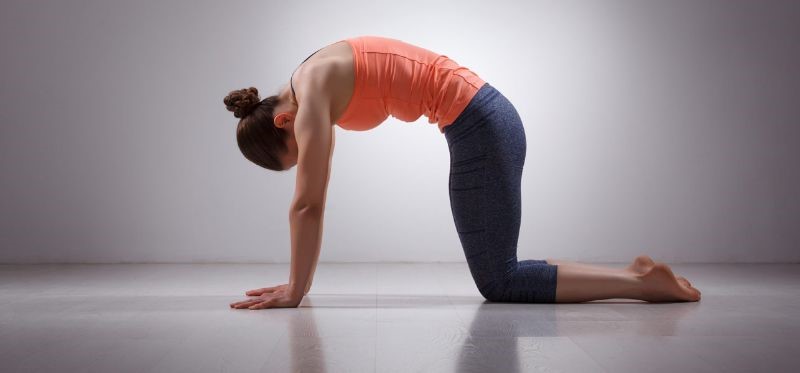 yoga trị liệu bệnh đau cổ vai gáy